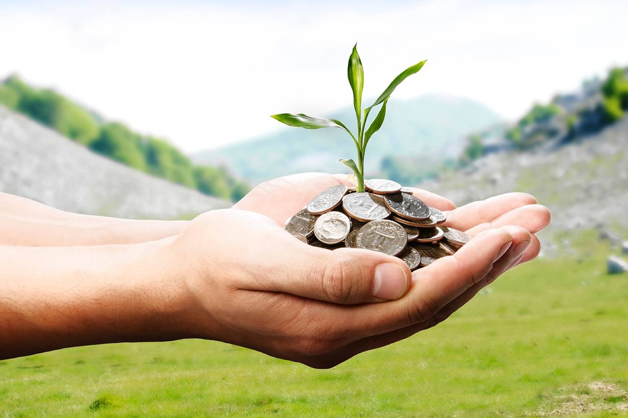 Sustainable Investing: Balancing Profit and Environmental Responsibility